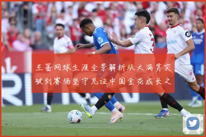 王蔷网球生涯全景解析从大满贯突破到赛场坚守见证中国金花成长之路-深度解析