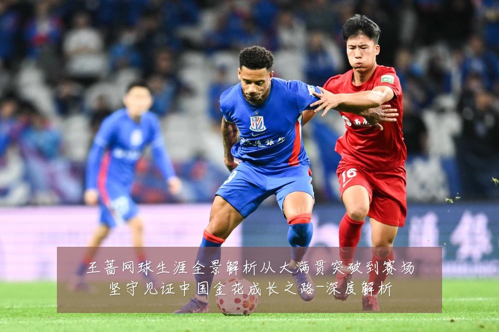 王蔷网球生涯全景解析从大满贯突破到赛场坚守见证中国金花成长之路-深度解析